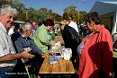 DSC07142c.jpg
