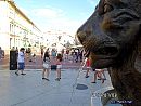 SAM_9311.1.JPG