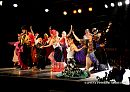 DSC07550c.jpg
