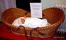 P1170291aj.JPG